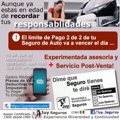 Muchas Cosas Por Recordar No Hay Problema Juyseguros Com Te Da Control En La Palma De Tu Mano
