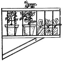 Some great info on container gardening Can t wait to have my Some great info on container gardening Can t wait to have my balcony garden in the new apt Green Thumb Pinterest