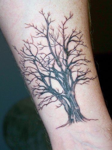 Tatuajes De árboles Y Bosques 256 Fotos Hombre Mujer Tatuaje Arbol Tatuajes De Moda Tatuajes De árbol Genealógico