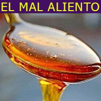 Cancer S Supplements That Will Destroy Cells Such As Reteta Tarta Aperitiv Omleta Din Categoriile Aperitive Cu Specific Romanesc