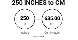 Convert 250 Inches To Centimeters Unit Converter The Convert 250 Inches To Centimeters