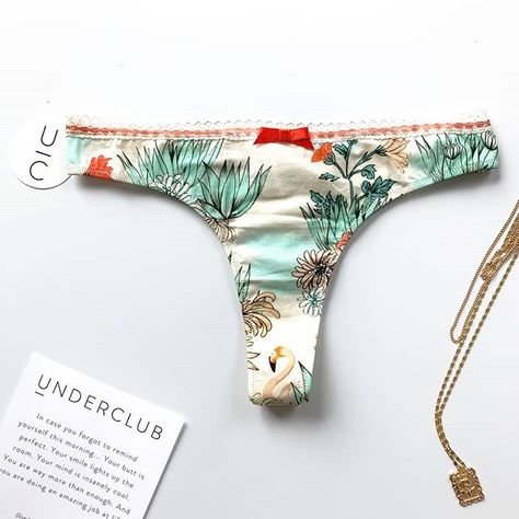 INTERESTPRINT Women Lace Underwear Low Waist Briefs Soft Pantie Breathable Panties Boston Terrier Floral Dress