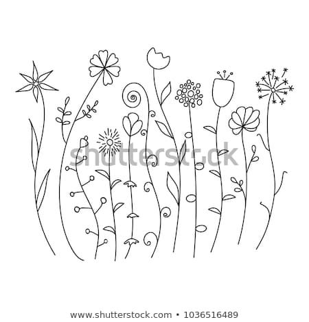 Hand Drawn Wild Flowers Sketch Set Isolated On White Background