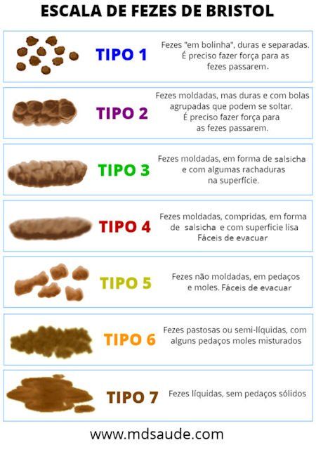 sangue nas fezes mole do cachorro sangue nas fezes mole do cachorro