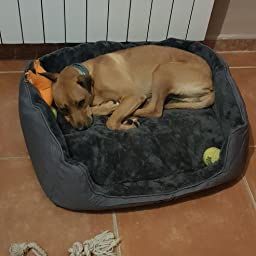 Pin en ps Happilax Cama para perro mediano, lavable con almohadas de
