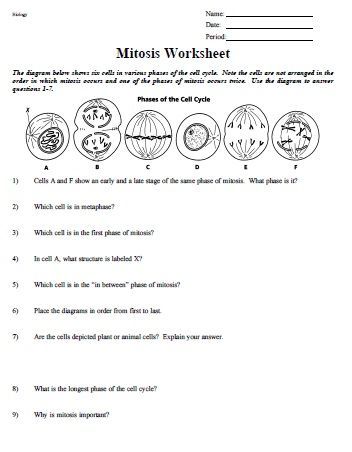 Pin On Worksheet