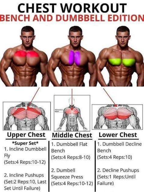 Chest Motivation Workout Bench And Dumbbell Edition Fitness Dumbbell Chest Workout Chest Workout Gym Workout For Beginners