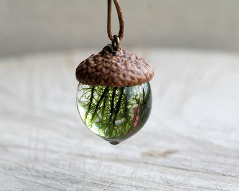 Sphere 19 mm Bright natural pendant Pendant terrarium Orange acorn pendant with a real cap of acorns and epoxy The real cap of acorn