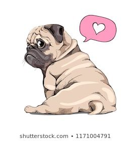 Adorable Beige Puppy Pug Humor Card T Shirt Composition Hand