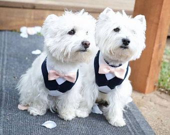 Wedding Dog Tuxedo Navy Dog Wedding Attire Dog Wedding Outfit