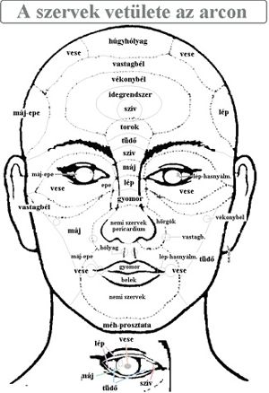 Aevit prostatitis adagolása - Impotencia 