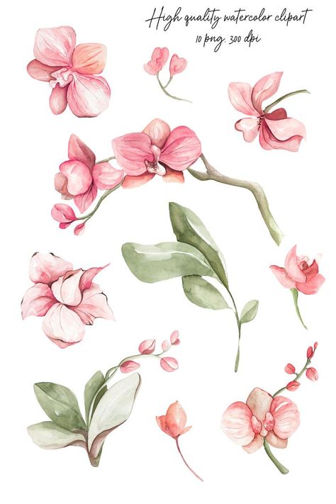 900 Flowers Ideas In 2021 Flowers Flower Art Flower Painting