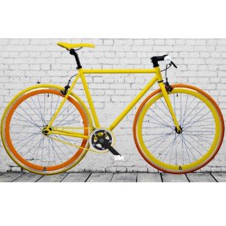 Best Road Bikes For Women In 2020 Top Models Reviewed Road