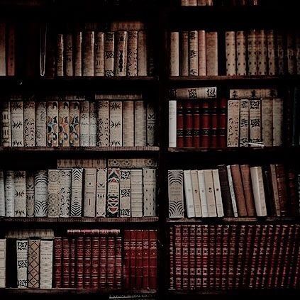 pic Dark Academia Royal Library Aesthetic dark academia aesthetic