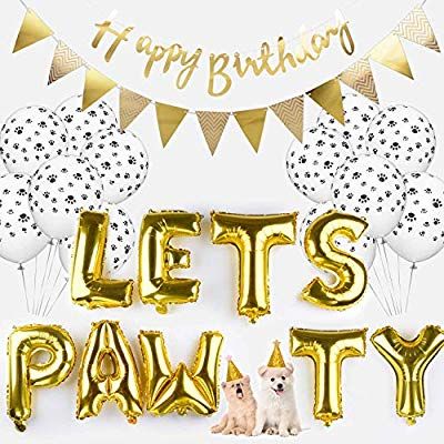 Dog Party Hat Cat Birthday Hat Dog Birthday Hat Party Banner