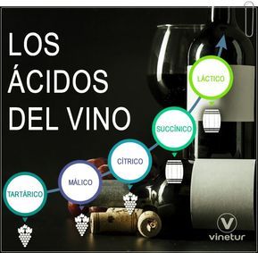 Por Qué Es Tan Importante La Acidez Del Vino Vinos Y Quesos Vino Elaboracion Del Vino