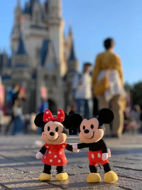 Disney Plush doll nuiMOs Max Disney store 185mm