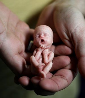 138 best the miracle of life images on pinterest pro life choose baby size at 20 weeks