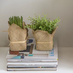 Brunelle 2 Piece Metal Pot Planter Set Reviews Birch Lane Herb Pots Potted Trees Faux Plants