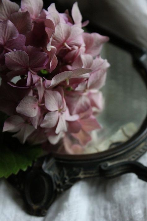 Pinterest With Friends Inspiration おしゃれまとめの人気アイデア Pinterest Renew 美しい花 フラワー アジサイ Pinterest With Friends Inspiration おしゃれまとめの人気アイデア Pinterest Renew 美しい花 フラワー アジサイ