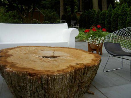 Good Questions How Do I Preserve My Tree Table Crafts Hi At A Few Blocks From Me I Saw An Old Oak Tree Being Cut Down And Asked If Could Have The Stump Brought It Over To My Backyard
