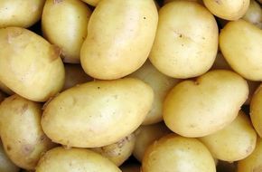 Ini Manfaat Kentang Yang Belum Diketahui Oleh Banyak Orang Kentang Unik
