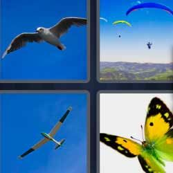 Soluciones 6 Letras 4 Fotos 1 Palabra Respuestas Actualizadas 4 Fotos 1 Palabra Fotos Parapente