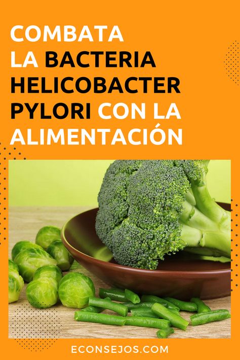 tratamiento para la bacteria helicobacter pylori