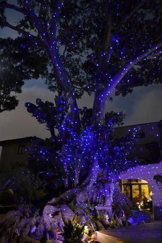 Outdoor Firefly Laser Light Projector Photo Gallery Updated Dec 2018 Lights Outdoor Firefly Laser Light Projector, Outdoor Laser Light Projector White