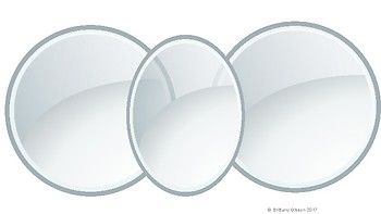 10 besten science bilder auf pinterest venn diagramme biologie asexual vs sexual reproduction venn diagram