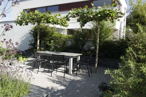 Großzügige Kiesflächen u203a Zinsser Gartengestaltung, Schwimmteiche - wasserfall garten wand Großzügige Kiesflächen u203a Zinsser Gartengestaltung, Schwimmteiche - wasserfall garten wand