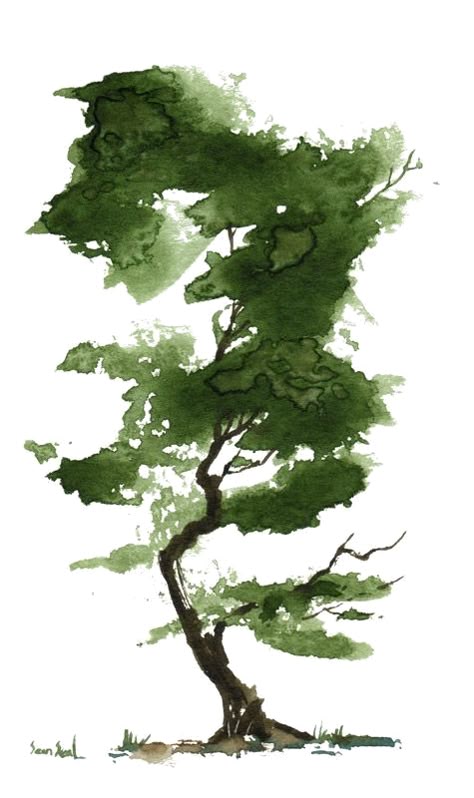 Epingle Par Nicole Dumont Sur Aquarelle En 2020 Arbres En