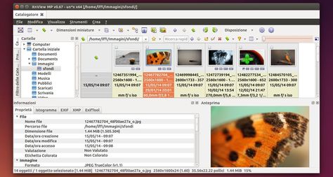 xnviewmp debian xnviewmp debian