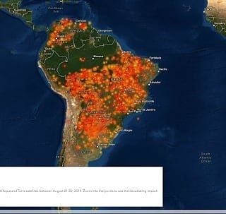 Reposted From Talking Series The Amazon Rainforest Is Still On