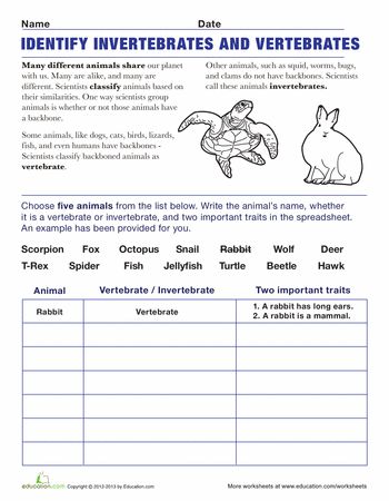 ManuelClap Martin (manuelclap) on Pinterest - diabetes spreadsheet ManuelClap Martin (manuelclap) on Pinterest - diabetes spreadsheet