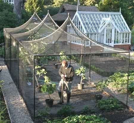 A Guide To Greenhouse Room In Your House Modern Design Fruit Cage Vegetable Garden Potager Fruit Cage Vegetable Garden Design, Greenhouse Vegetable Garden Design