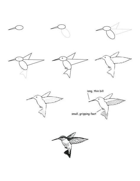 how do you draw a bird how do you draw a bird
