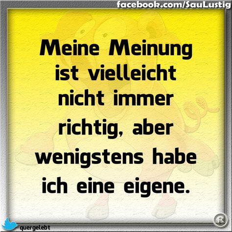 Meine Meinung ist nicht immer richtig saulustig Lustige sprüche