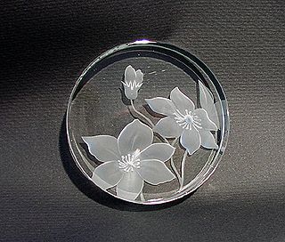 一時 ペーパーウェイトがすごく売れたことがありました 希望のお花を彫ります と売り出してたからです 花は好きですが あんまり花の名前を知りません そんなので バラといわれれば よく見かけるバラのデザインで彫ってたし 深く考えてませんでした が バラも 一時 ペーパーウェイトがすごく売れたことがありました 希望のお花を彫ります と売り出してたからです 花は好きですが あんまり花の名前を知りません そんなので バラといわれれば よく見かけるバラのデザインで彫ってたし 深く考えてませんでした が バラも