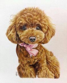 吾郎ちゃんの実家では茶色のトイプードルがいる Thetrad 11 11ゲストは大宮エリーさんの回 子犬 イラスト トイプードル イラスト トイプードル かわいい 吾郎ちゃんの実家では茶色のトイプードルがいる Thetrad 11 11ゲストは大宮エリーさんの回 子犬 イラスト トイプードル イラスト トイプードル かわいい