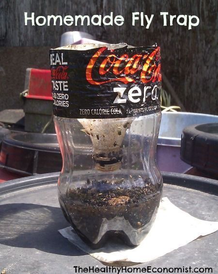 Quick And Easy Homemade Fly Trap Really Works Healthy Home Traps Repellant Diy