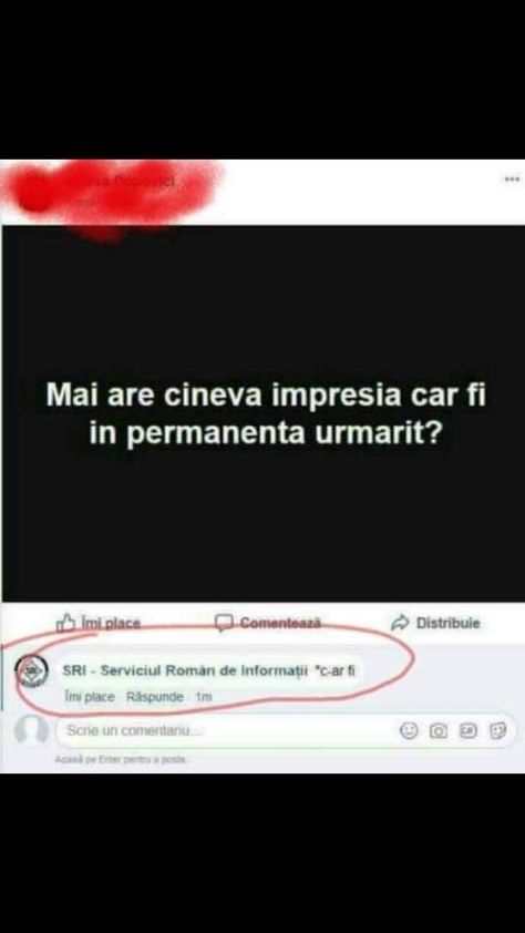 52 Best Poze Images Humor Funny Funny Memes