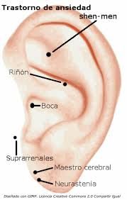 Auriculoterapia para bajar de peso puntos comunion