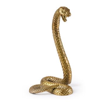 picture of a king cobra to color picture of a king cobra to color