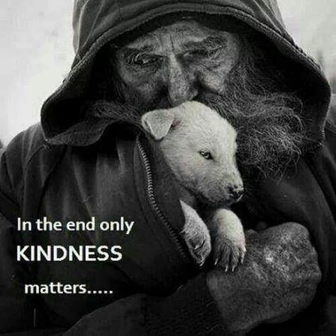Kindness | Albert einstein, Einstein, Life quotes to live by