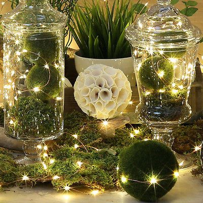 10 Led Battery Power Operated Copper Wire Mini Fairy Lights String Xmas Decor 10 Led Battery Power Operated Copper Wire Mini Fairy Lights String Xmas Decor
