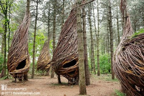 Will Beckers Alias The Willowman El Hombre Sauce Crea Esculturas De Mimbre En Las Que Vive La Alde Arte De La Tierra Arquitectura De Bambú Casas Naturales