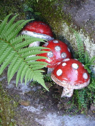 Upcycling Ideen Fruhling Alte Holzkiste Bepflanzen Schones Leben Upcycling Ideen Alte Holzkisten Holzkisten