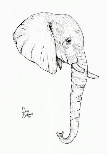 How To Draw An Elephant Head Easy