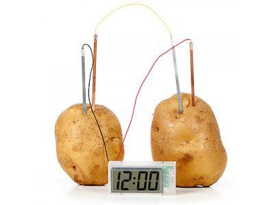 How Potato Batteries Work 6th Grade Science Projects Science Projects Kitchen Science Experiments